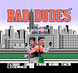 _images/bad_dudes_emulated.png