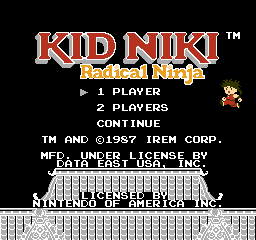 _images/kid_niki_radical_ninja.png