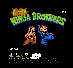 _images/little_ninja_brothers_emulated.png