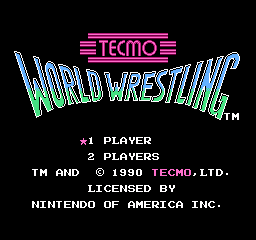 _images/tecmo_world_wrestling.png