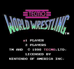 _images/tecmo_world_wrestling_emulated.png